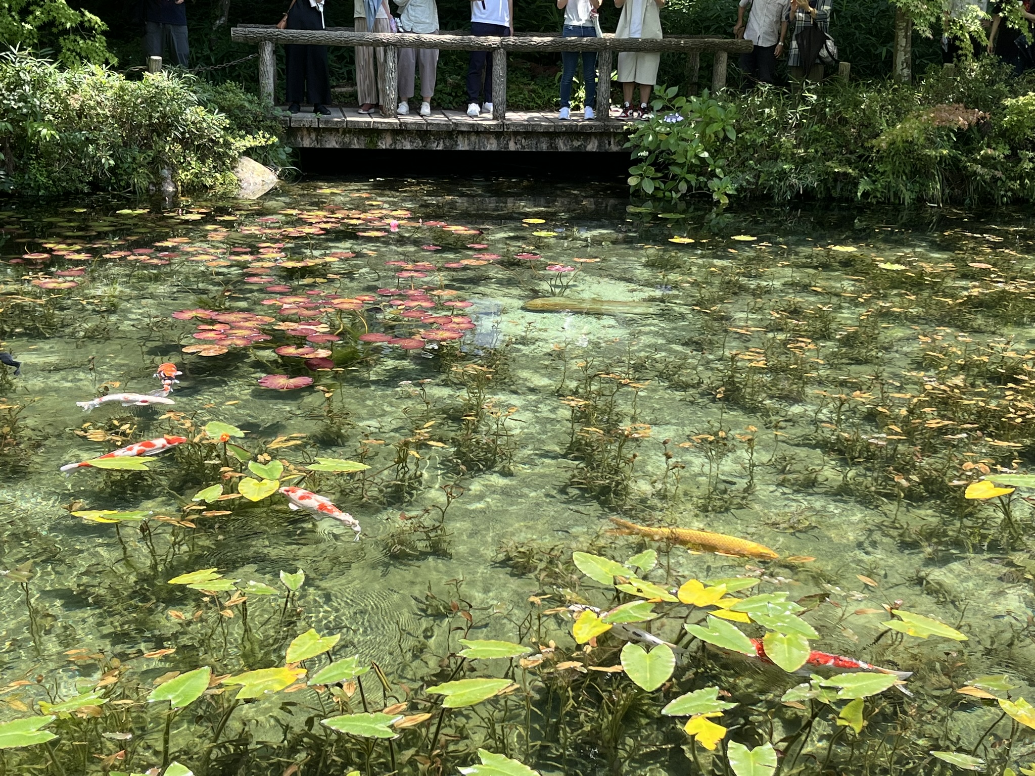 モネの池と映画トラブルに見る、契約と信頼のあり方