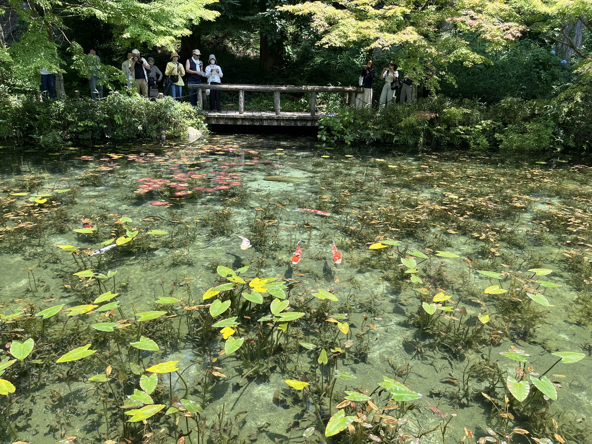モネの池PR映画をめぐる動き、その後